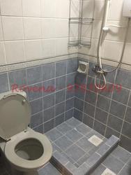 The Sunny Spring (D14), Apartment #97521252